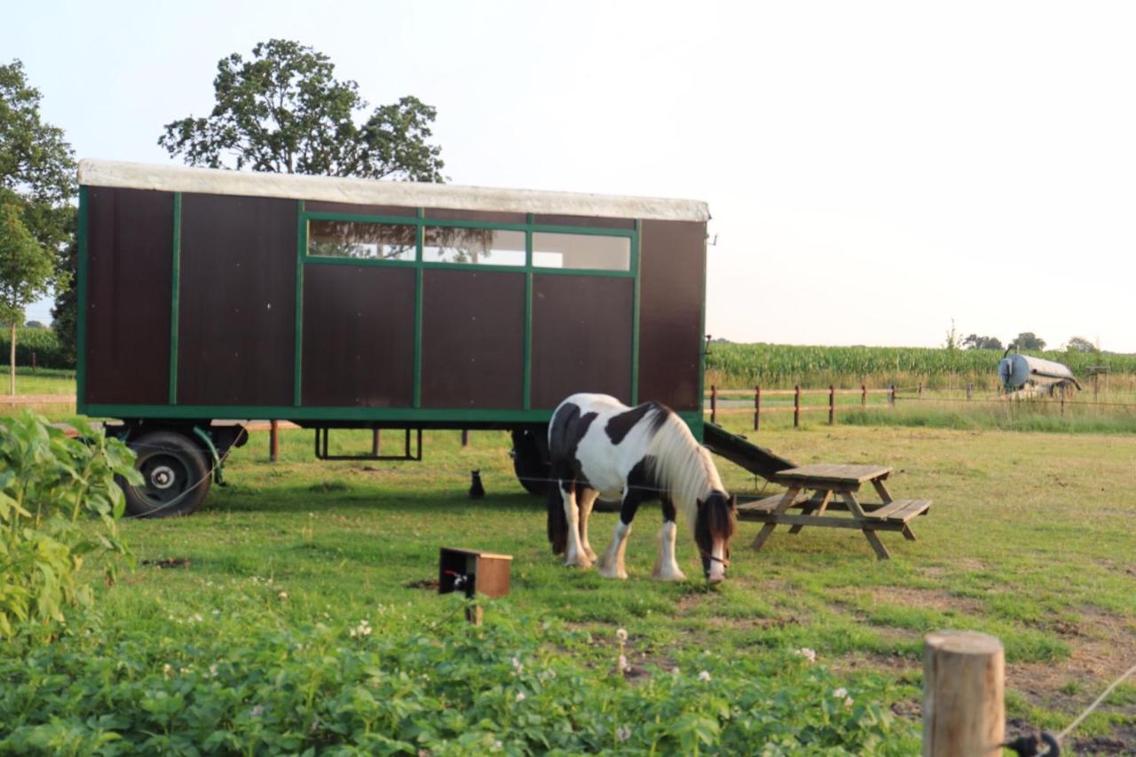 Slapen Tussen De Paarden Hotel Essen Bagian luar foto